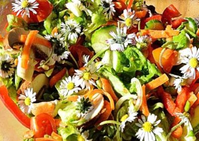 Gänsebluemchen im Salat